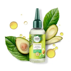 Avocado & Aloe Nourishing Hair & Scalp Oil