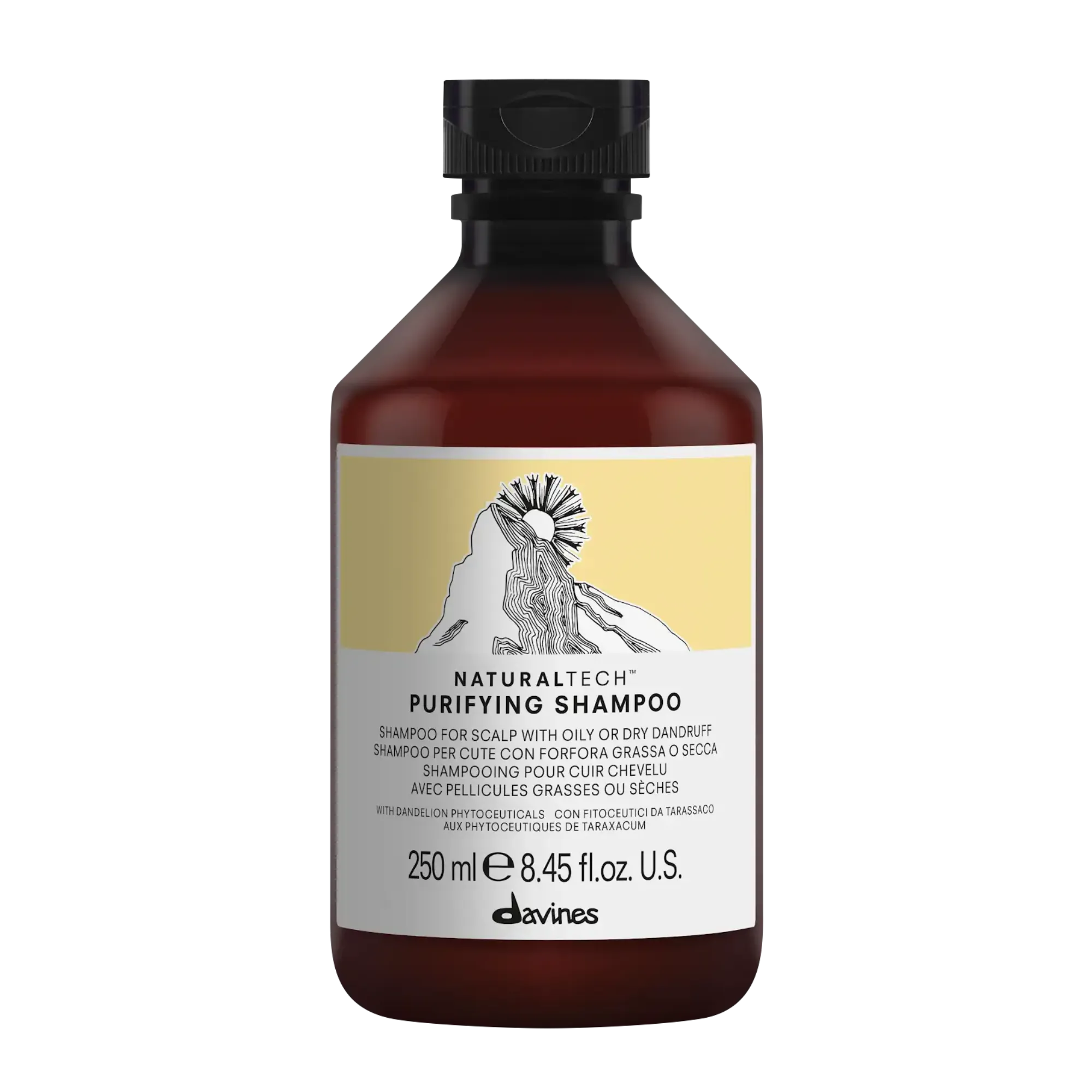 Davines Naturaltech Purifying Shampoo 250ml