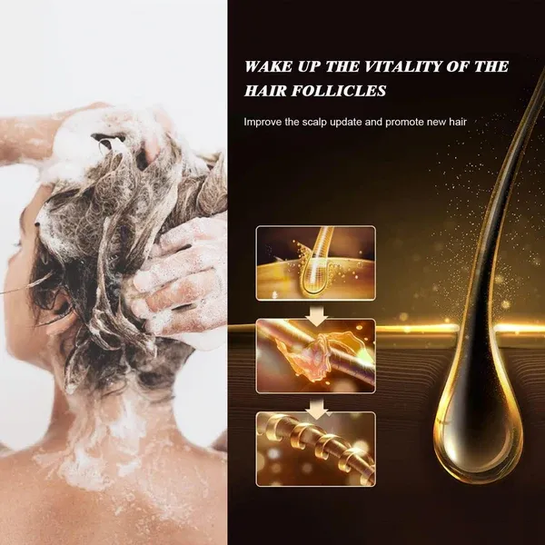 Karseell - Maca Power Shampoo