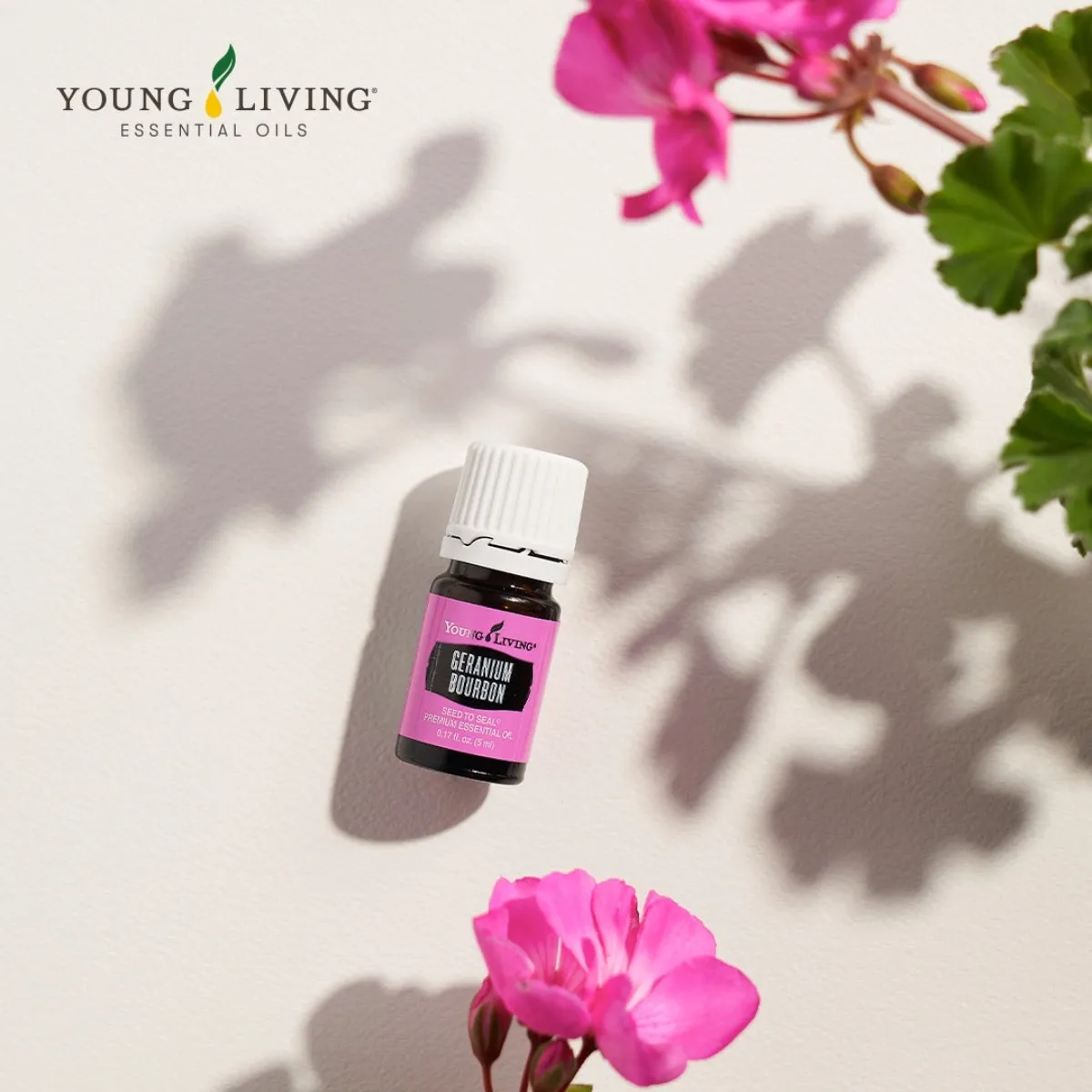 Young Living Geranium Bourbon Essential Oil - 5ml